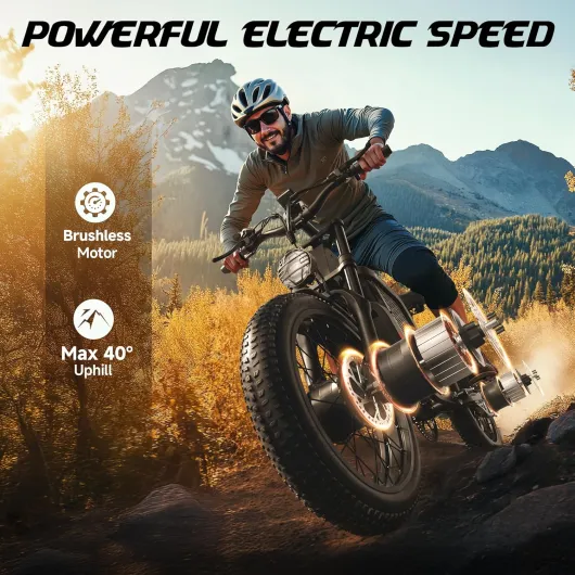 81ndaz7EwxL._AC_SL1500_