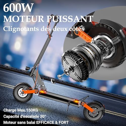 Trottinette Électrique Adulte, Batterie 60V/48 13/18Ah,Moteur 600/2000W,Trotinette Electrique Puissante Tout Terrain Ultra Legere Double Suspension,10 Pouces Scooter Électrique lectrique S5-Z(600-800)W