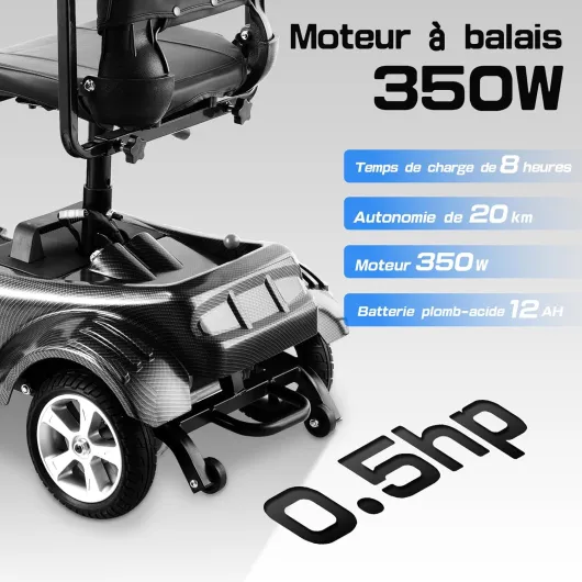 Z02 Trottinette Électrique Pliable pour Personnes à Mobilité Réduite et Seniors - 4 Roues Anti-basculement, Autonomie 20KM, Stable et Durable, Tout-Terrain, Charge Maximale 100kg, Noir Z02-Noir