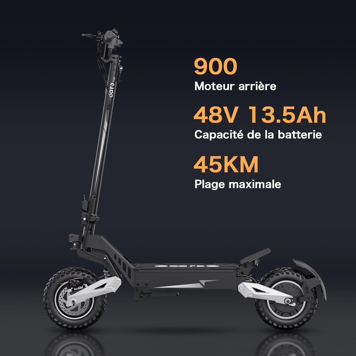RAYI T10 All-Terrain Powerful Electric Scooter for Adults 48V 13.5AH