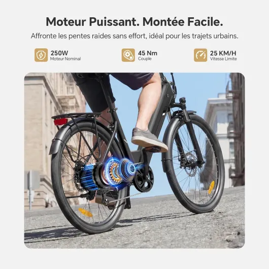 Touroll J2 St Pro Vélo Électrique Ville, Moteur 250W 45Nm, Batterie 561Wh, Autonomie 100KM, Freins Hydrauliques, 7 Vitesses, 26" VTC Electrique Homme Femme