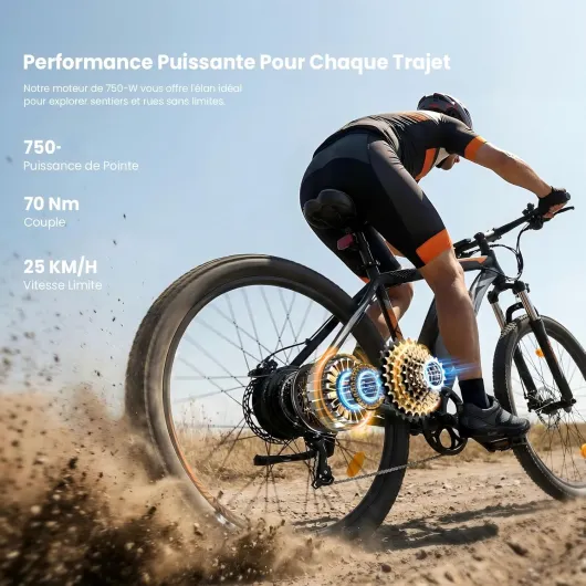 Touroll U2 Pro/U3 Pro Vélo Électrique Homme 29", VTT électrique avec Batterie Amovible 48V 15Ah, Autonomie 150KM, 70Nm, Freins à Disque Hydrauliques, Vélo électrique Tout-Terrain U2 PRO-NOIR