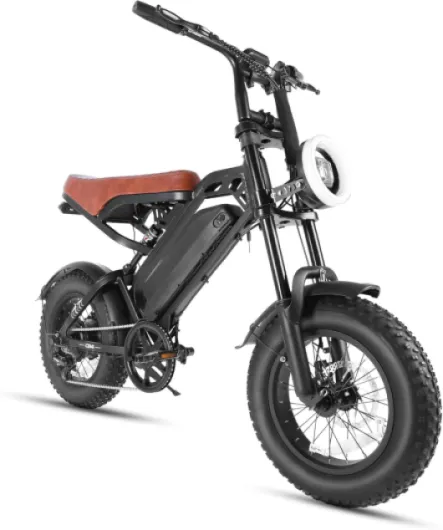 Générique CB4 Vélo Électrique Fat Bike 16 Pouces pour Adulte, Batterie 48V 10,4Ah, Moteur 250W, Double Suspension, Pneus 16×4.0", Selle Biplace, Écran LCD, Freins à Disque, Autonomie 50KM