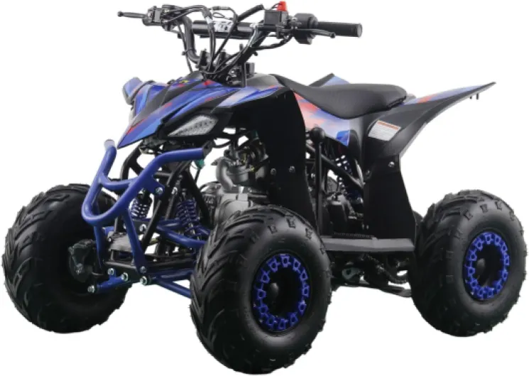 ELECTROPOWER - Mini Quad Thermique 4 Temps 110cc