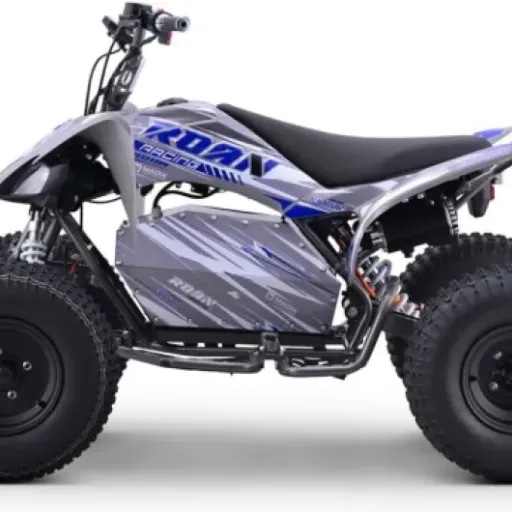Test Quad électrique 1800 W Dakar Roan R10 Brushless : le jouet sérieux pour terrain privé