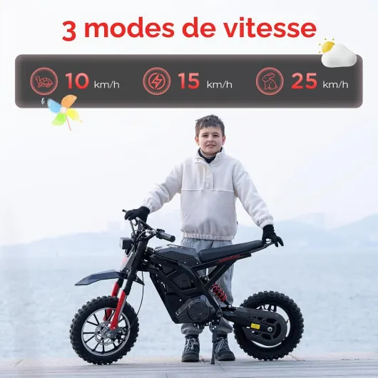 71C1Ah2s8XL._AC_SL1500_
