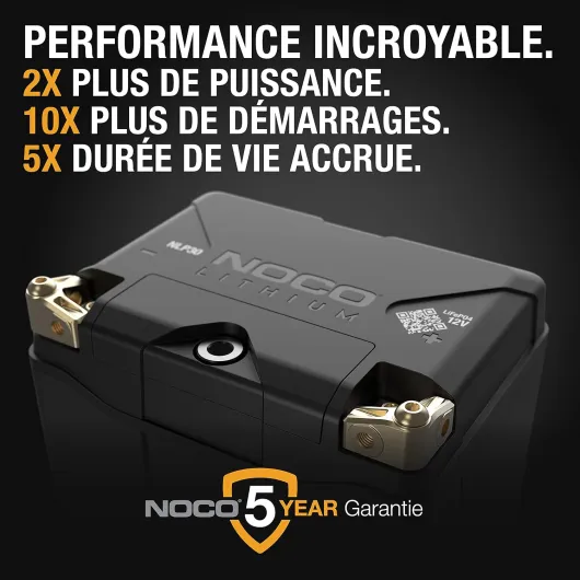 Lithium NLP30, Groupe 30, Batterie de Moto 700A, Batterie au Lithium 12V 8Ah avec BMS Dynamique pour Motos, Quad et Scooters